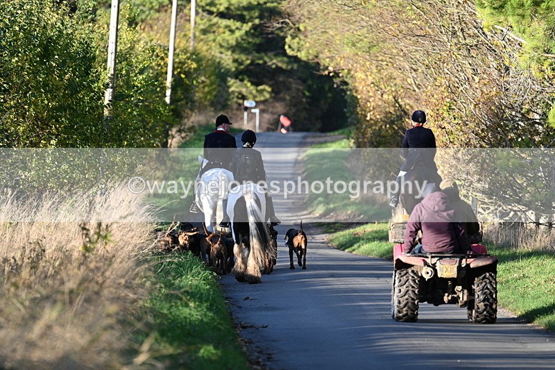 WJ7_8671 - Walk Home
