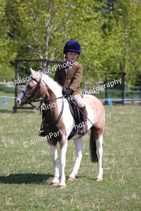 20250427-3236 - Class 33 - Best Pony 14.2hh and Under