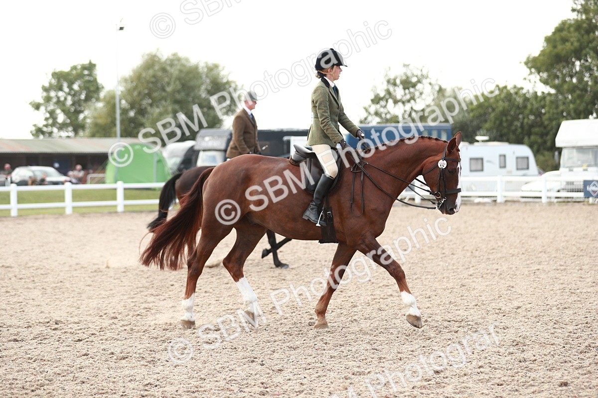 SBM_15504 - Class 213 Ridden Hunter -Large