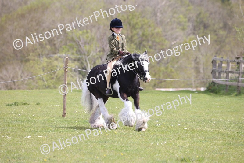 20260426-4041 - Class 33 - Best Pony 14.2hh and Under