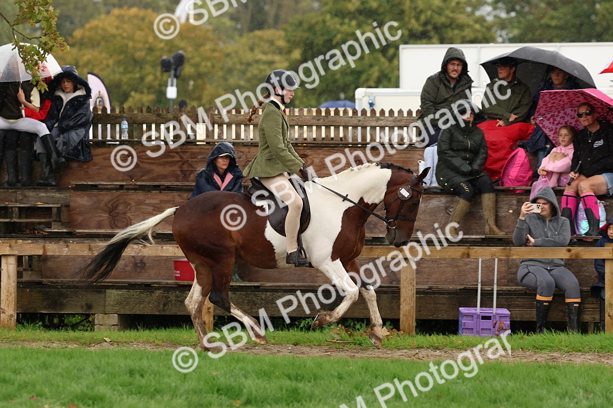 SBM_45075 - S27 - Young Veteran Ridden