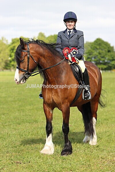 IMG_4918 - Working Hunter
