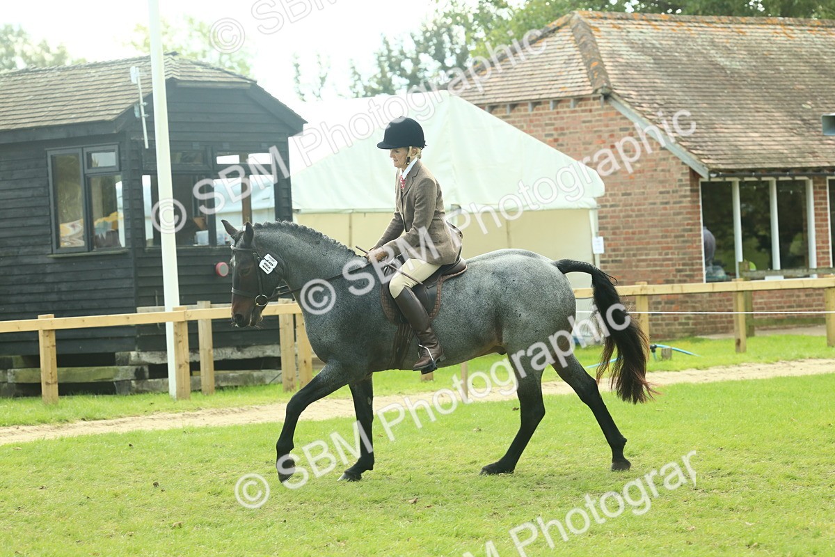 SBM_62614 - S63 - Other Coloured Horse Ridden