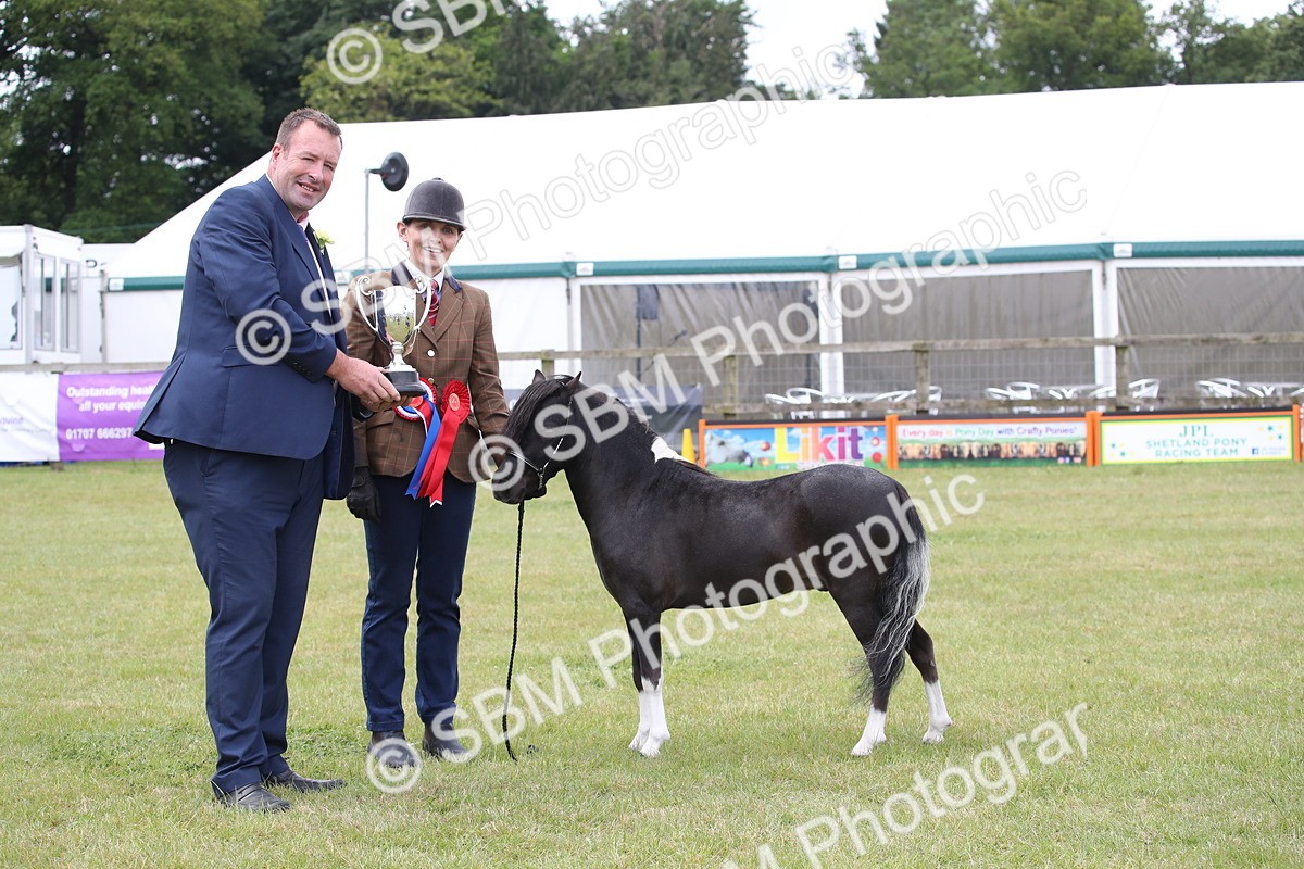 SBM_03564 - Class 23-25 - British Miniature Horse of the Year
