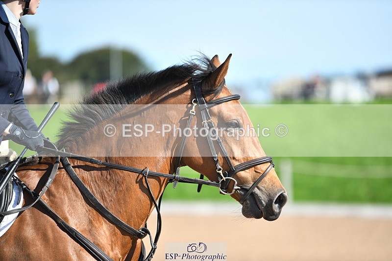 230903A-102746-03709 - Cls 12 95cm Amateur Quali