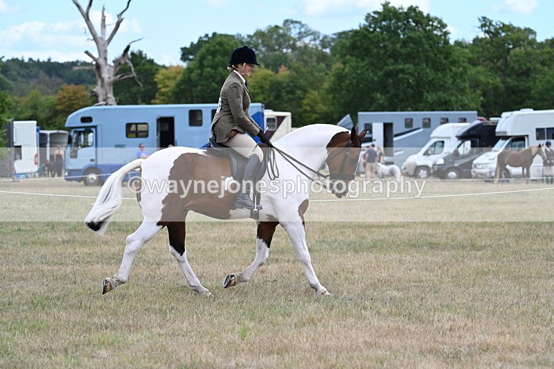WJ7_4888 - Class 12 Ridden Cob