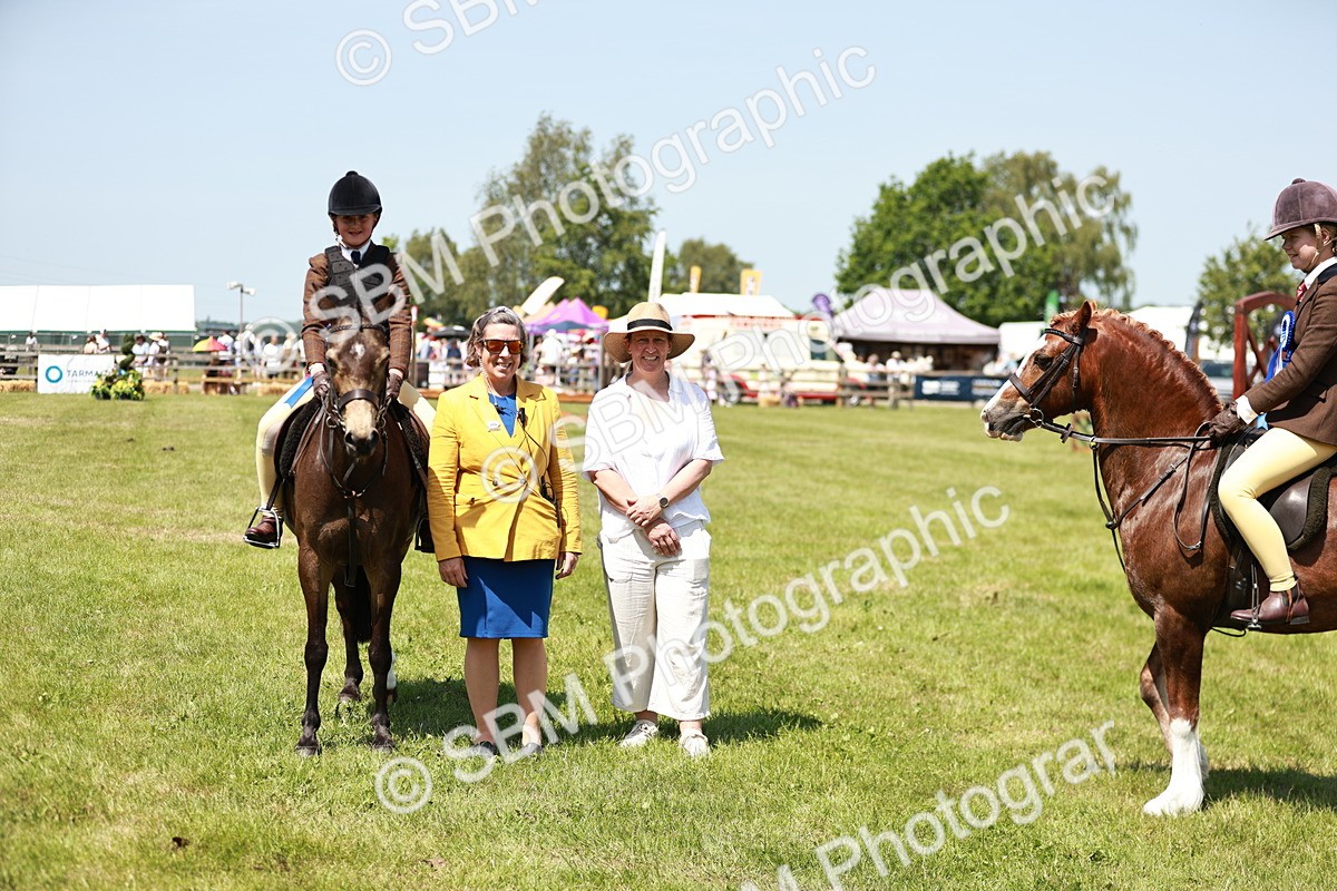 SBM_15823 - Class 108-109 - BSPS LIHS Open Gradle & Nursery Stakes