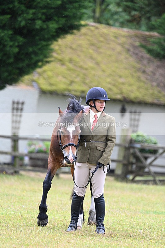 WJ7_6298 - Class 4a Prettiest Mare over 14hh