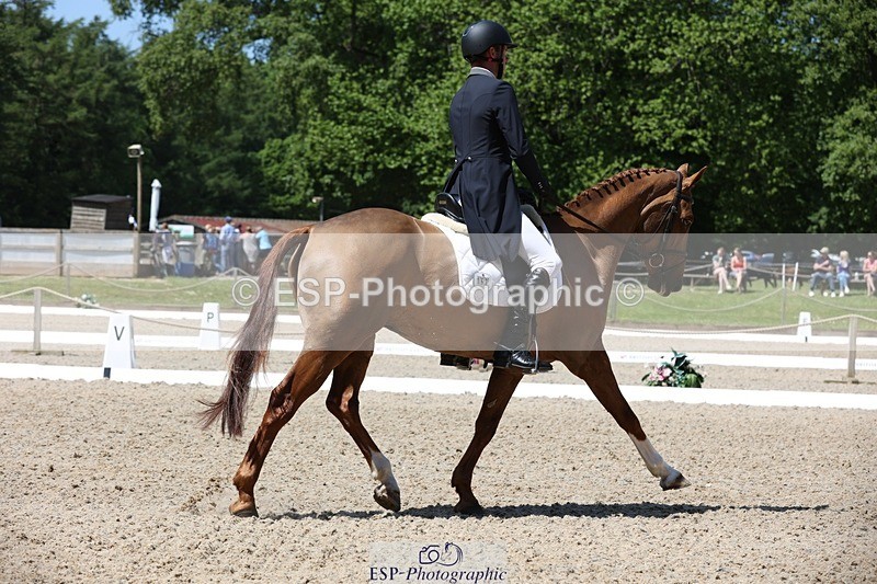 230526-115519-06130 - 157-GODSEND_DU_GIVRE-Henry_Dove-WEDTrotUp+DR