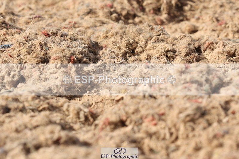 240622A-173630-14925 - Cls 38 BD FEI PSG