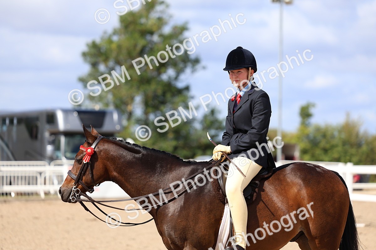 SBM_13312 - Class 311 - Ridden Show Pony Show Hunter Pony