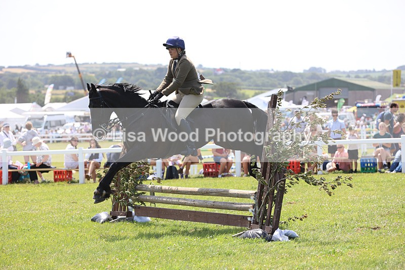 JPP_2554 - Class 21: Working Hunter 60cm