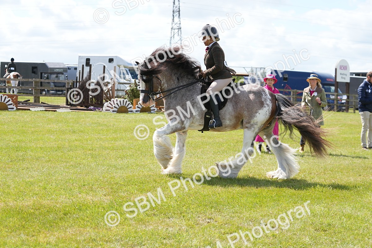 SBM_17141 - Class 107-108 - LIHS BSPS Performance Coloured Horse Pony