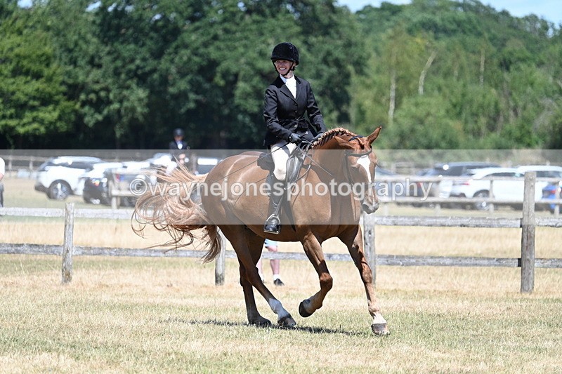 WJ7_3023 - Class 7 Riding Club Show Horse