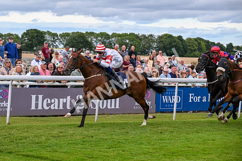 040726-Race 6-Highland Olly-5343