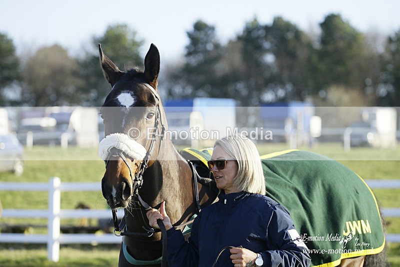 PtP 270222 572 - South & West Wilts Point-to-Point Larkhill 27/02/22