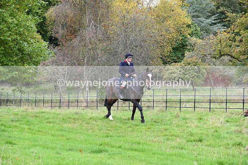 WJ6_0092 - Camera 2 Meet