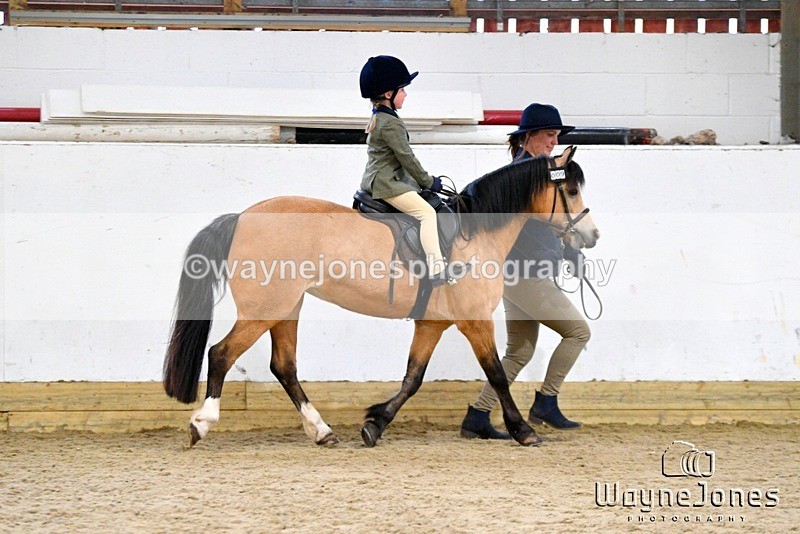 WJ5_6703 - Edited examples