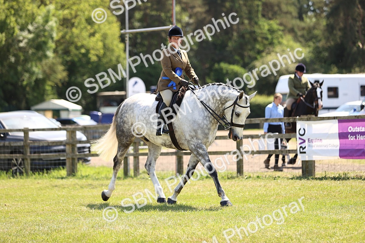 SBM_17798 - Class 81-83 - TSR Ridden Amateur of the Year - Horses