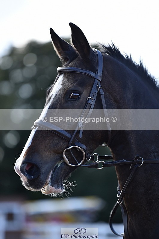 231014A-135806-05169 - Cls 15 1.05m Amateur Q 2nd R