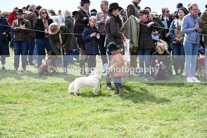 WJ6_8364 - Class 4 Prettiest Bitch