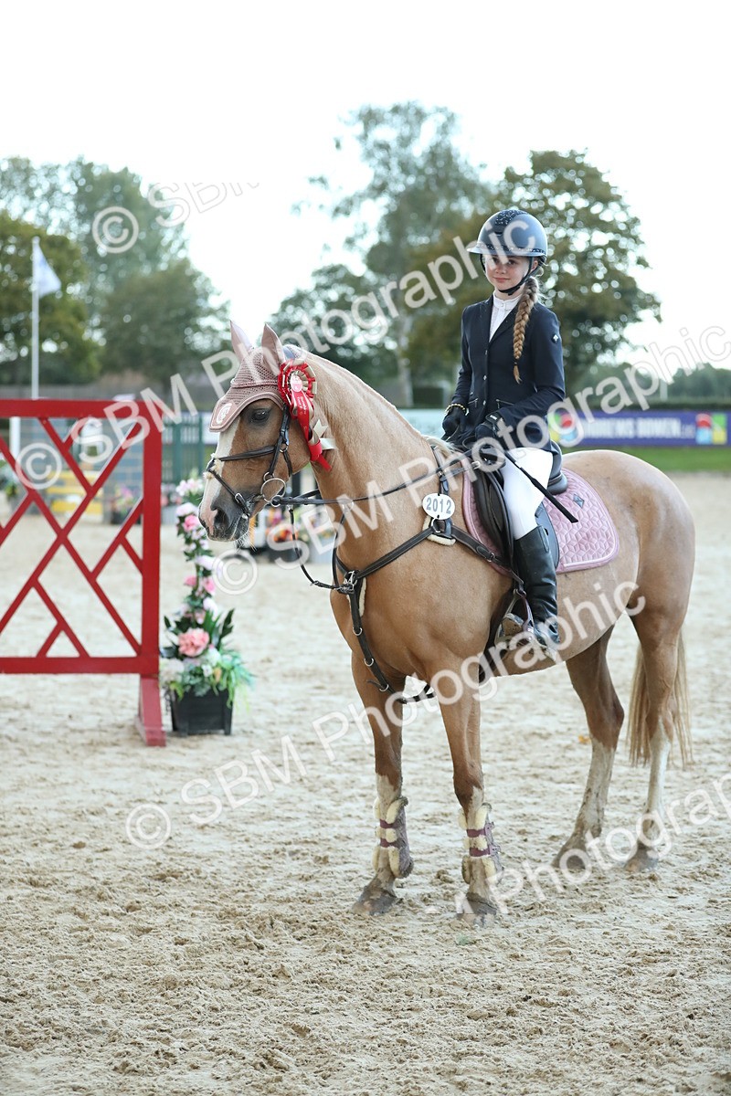 SBM_53784 - Supreme Championship 65cm 70cm