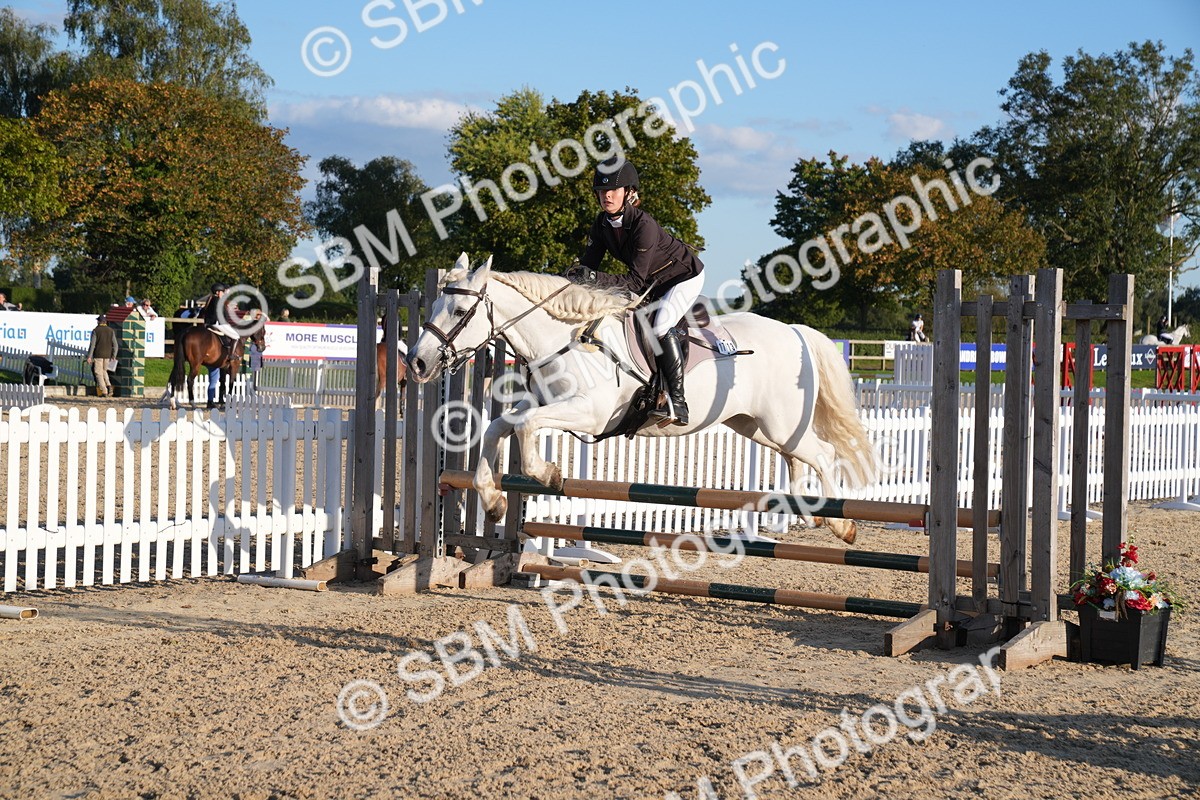 SBM_30051 - J44 - Super Speedy Scurry Open - 70cm