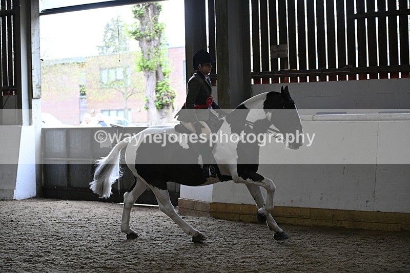 WJ7_4520 - Afternoon Champs