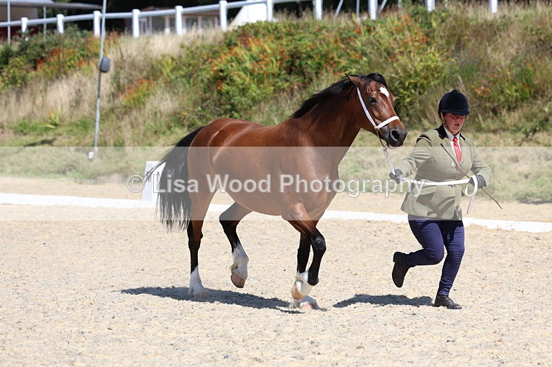 3E7A9638 - Class 32: Best Grass Kept