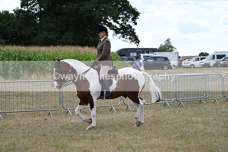 WJ7_5000 - Class 12 Ridden Cob