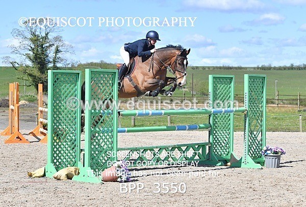 BPP_3550 - CLASS 7 Senior Foxhunter/ 1.20m Open