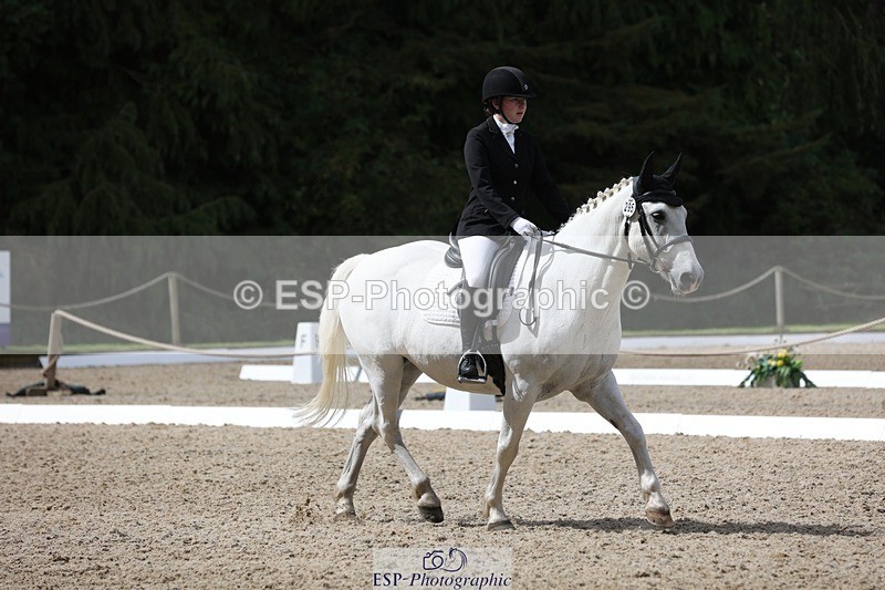 230812-113003-03782 - Cls 5 Novice Bronze 11.15 to 12.50 break