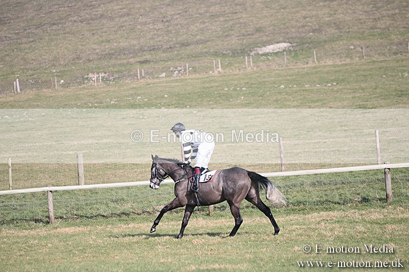 PtP 230219 191 - Vine & Craven Point-To-Point - Barbury 23/02/19