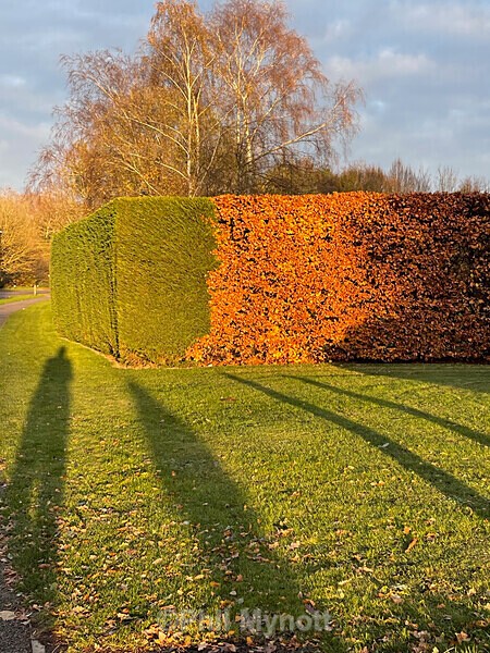 PhotoMynottART114 - Photo Mynott ART Images