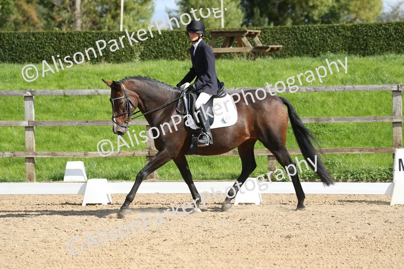 20250923-0491 - Class 5 - Novice 3