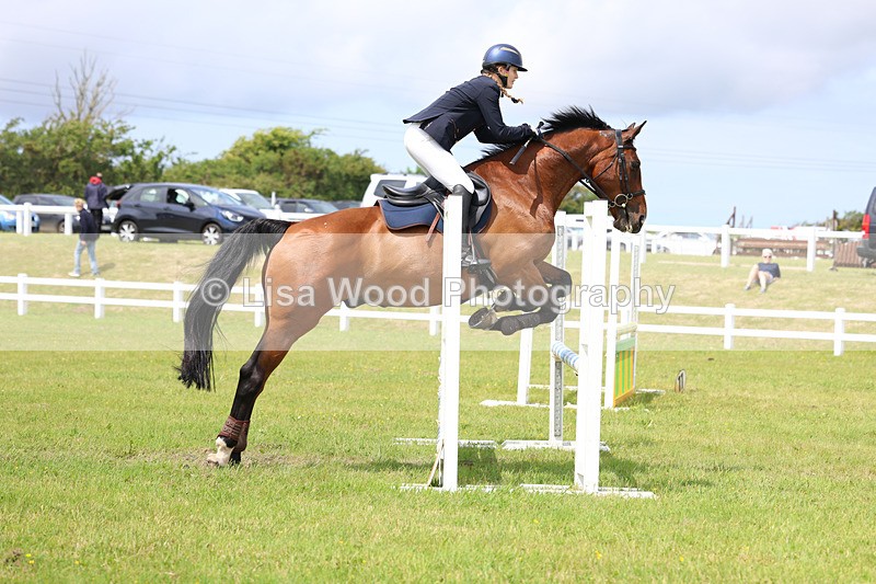 3E7A7521 - Class 13: Senior British Novice/90cm open