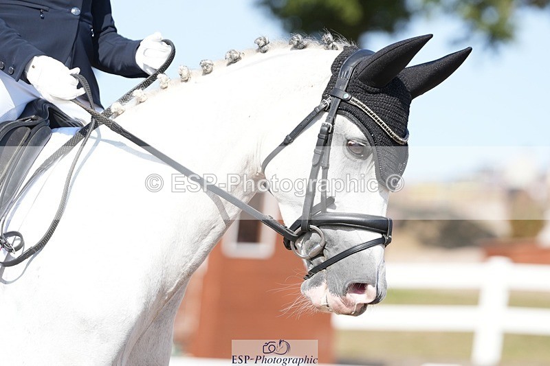 250817-160556-11845 - 207-Esme.LangBrouwershaven.Silvia