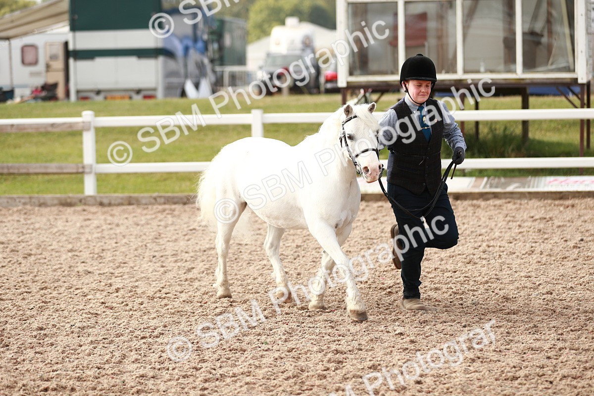 SBM_10520 - Class 204 Young Handler, 11-16 years