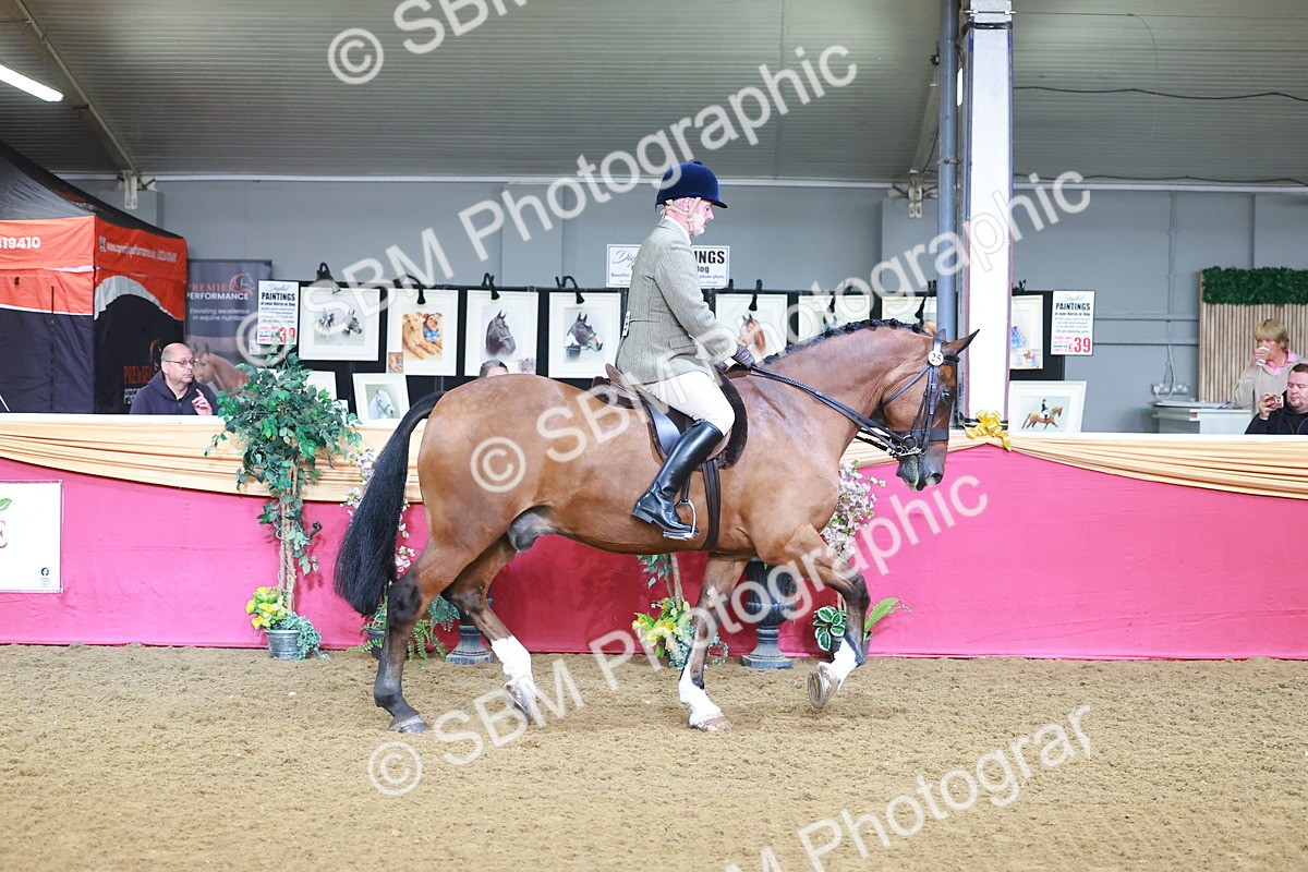 SBM_07608 - Class 101 - HOYS Veteran Qualifier - Ridden Diamond