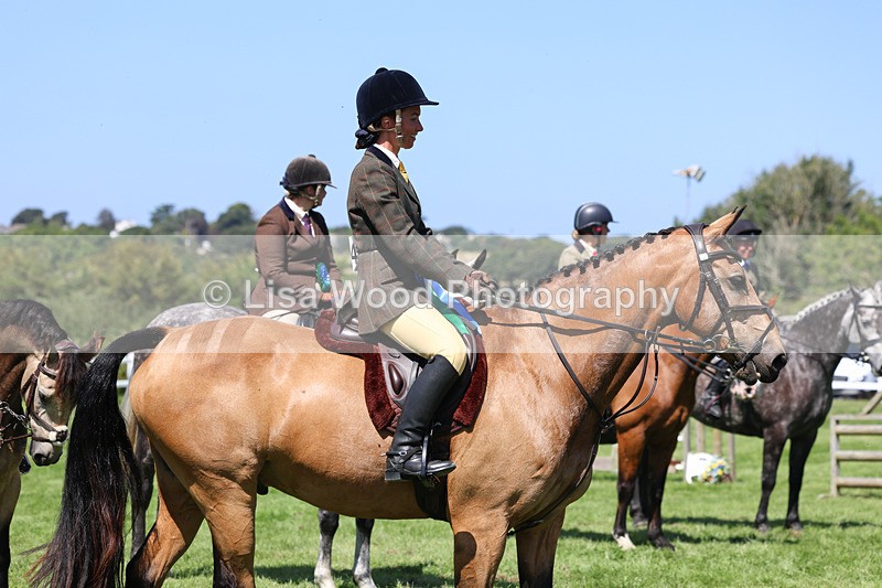 3E7A9286 - Working Hunter Championship