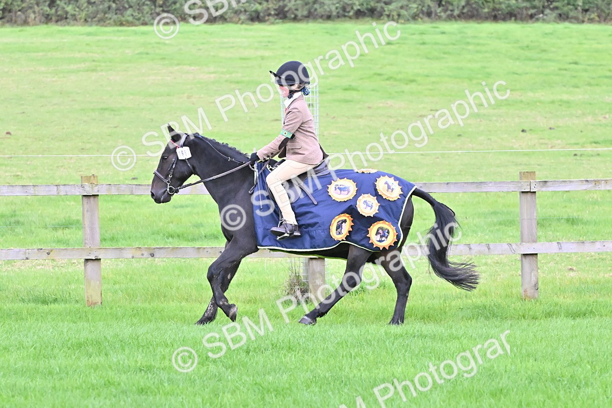 SBM_42901 - S12 - Family Horse & Pony