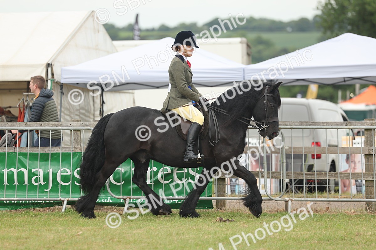 SBM_09098 - Class 78-80 - Ridden M&M Non Welsh Ponies