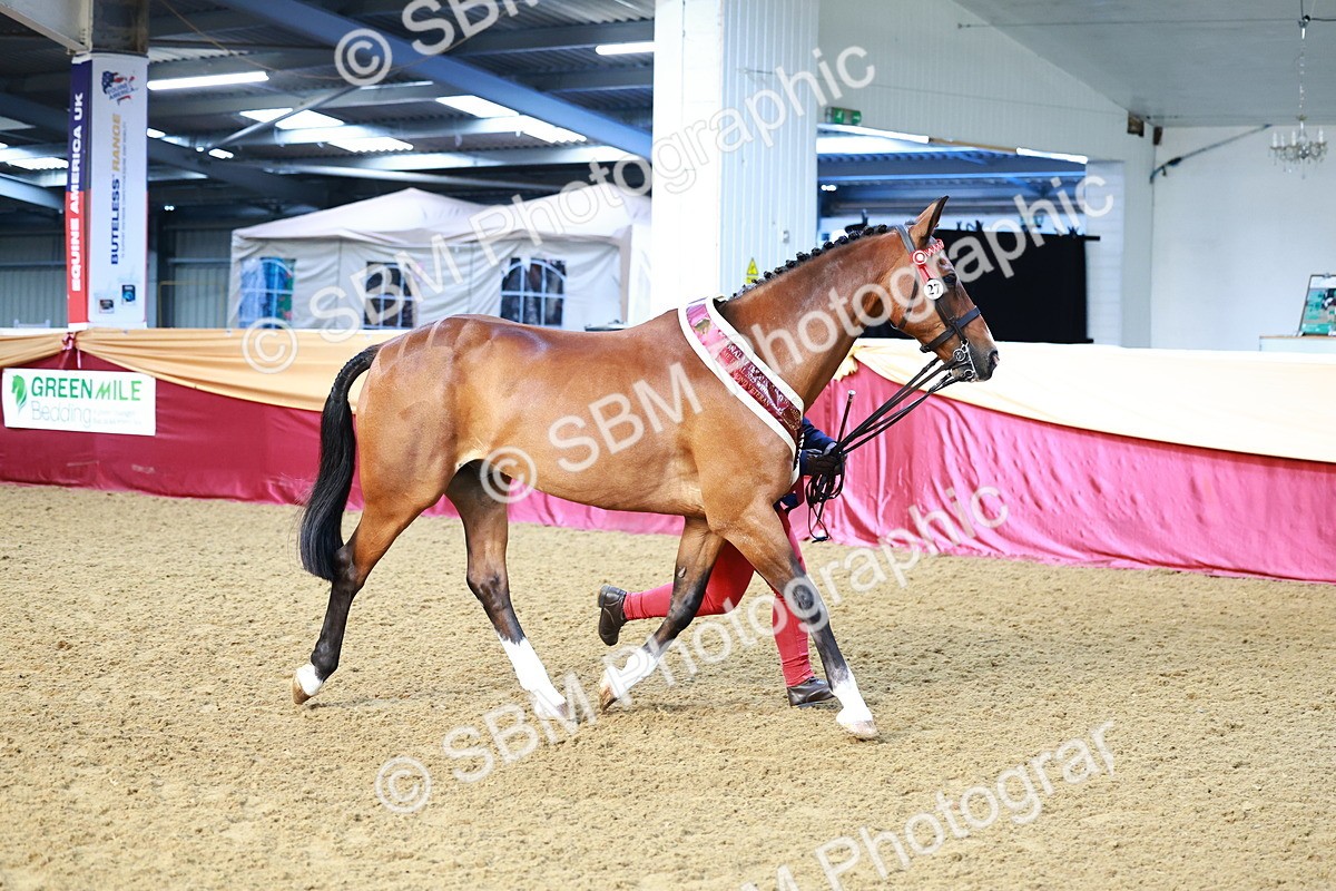 SBM_21938 - Class 901 - Supreme Final - IH  Diamond