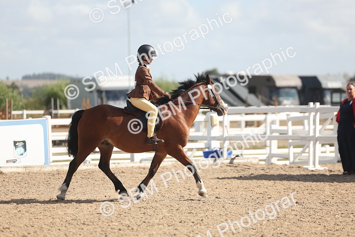 SBM_23100 - Class 806 - Young Rider 10ry and Under