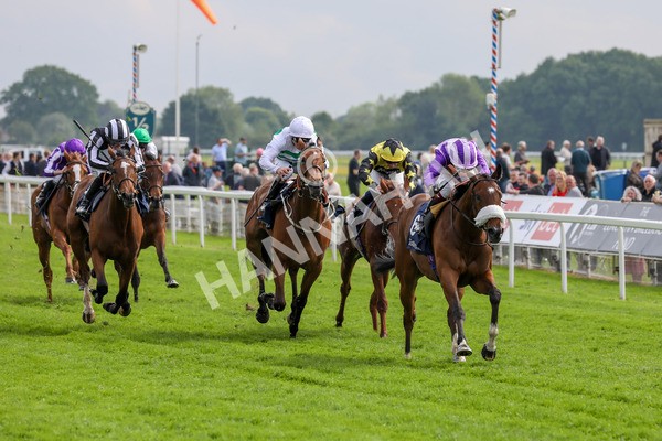 150524-Race 4-Secret Satire-1519 - Race 4 3.45pm Tattersalls Musidora Stakes