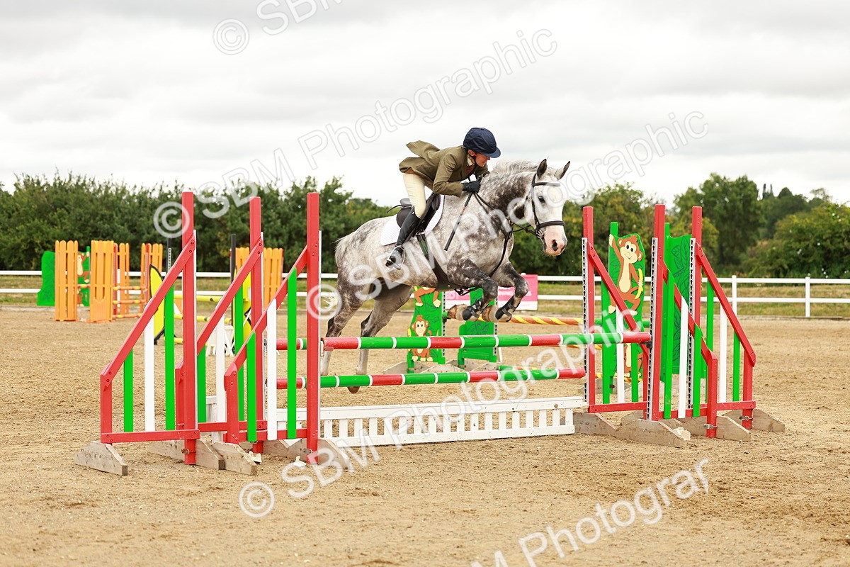 SBM_001800 - Class 9 - Senior British Novice - 90cm