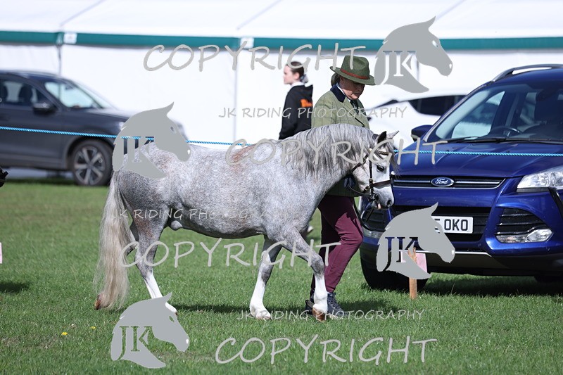 APP_2744 - Class 10a/b M&M in hand