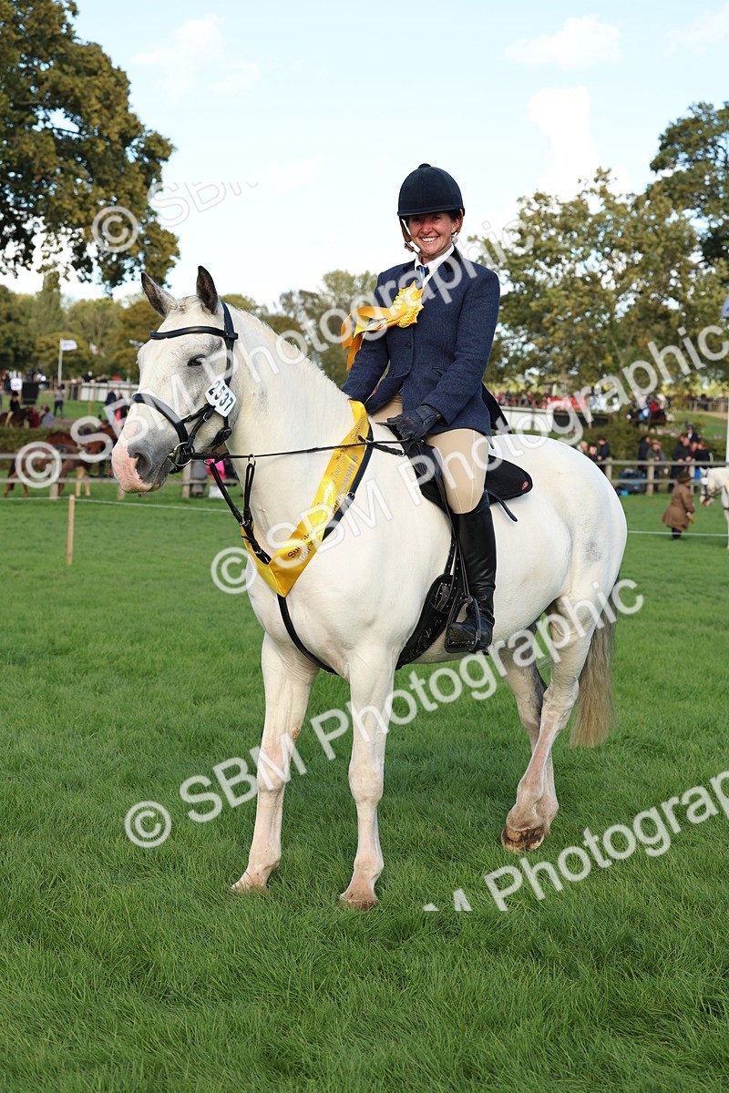SBM_50184 - S34 - Novice & Newcomers Working Hunter