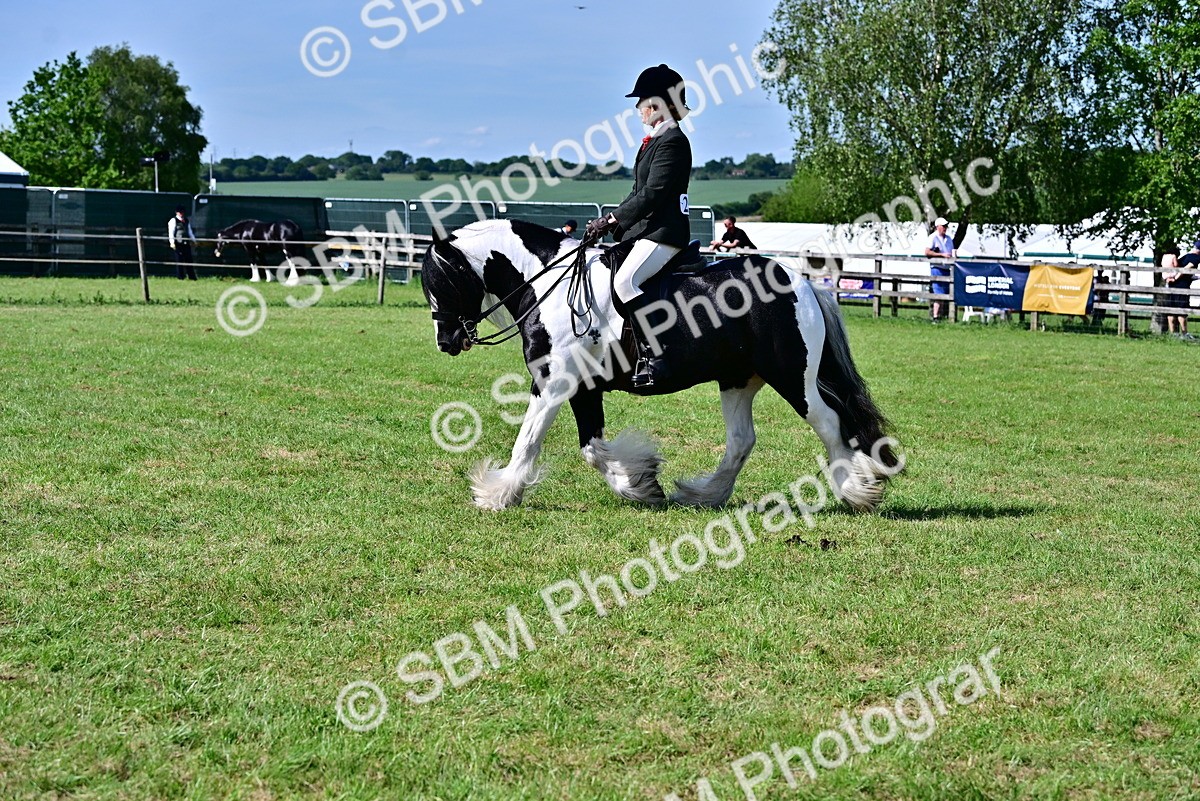 SBM_09344 - Class 63-65 - Traditional Gypsy Cobs In Hand & Ridden