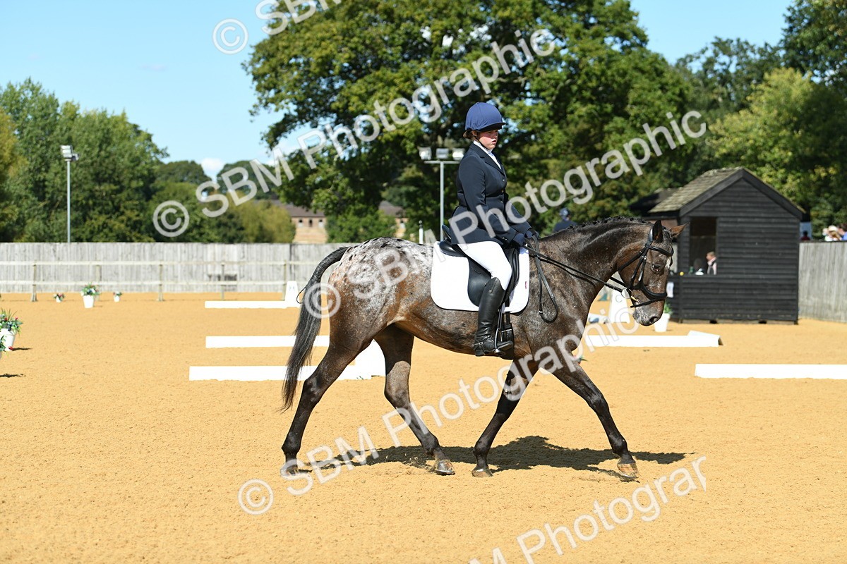 SBM_24800 - D13 - Grand Tour Championship - Prelim 12